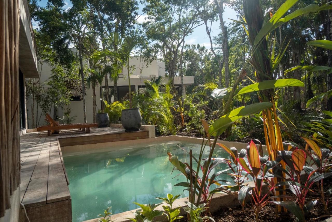 Villa Xuncari En El Corazon De La Selva Tulum Ngoại thất bức ảnh
